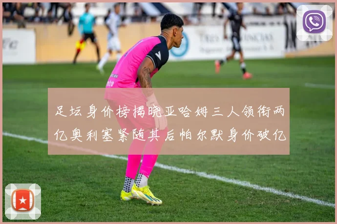 足坛身价榜揭晓亚哈姆三人领衔两亿奥利塞紧随其后帕尔默身价破亿